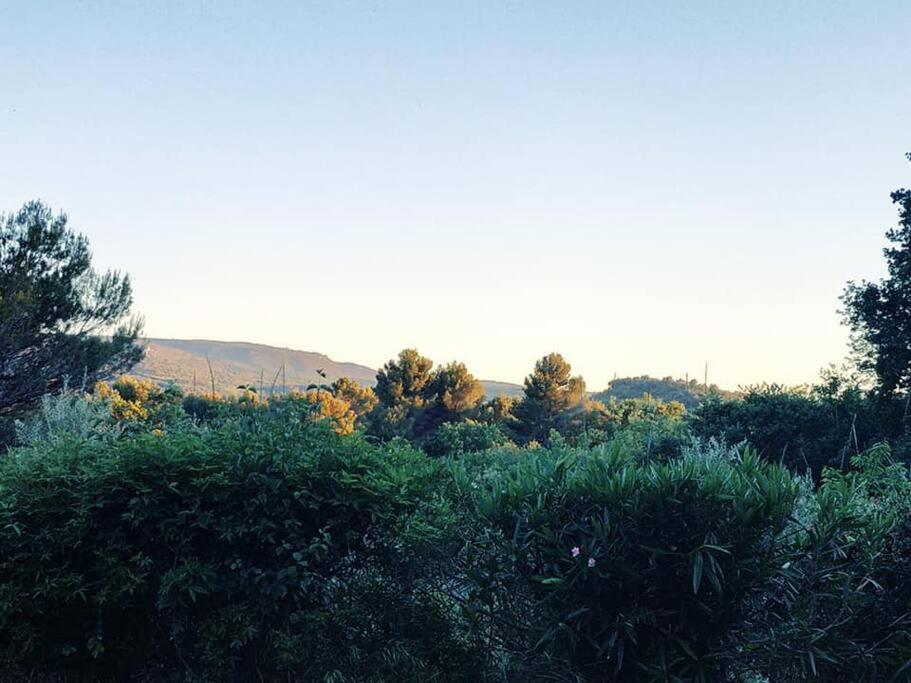 Entre Ventoux Et Luberon, Appartement Dans Maison. Malemort-du-Comtat Buitenkant foto