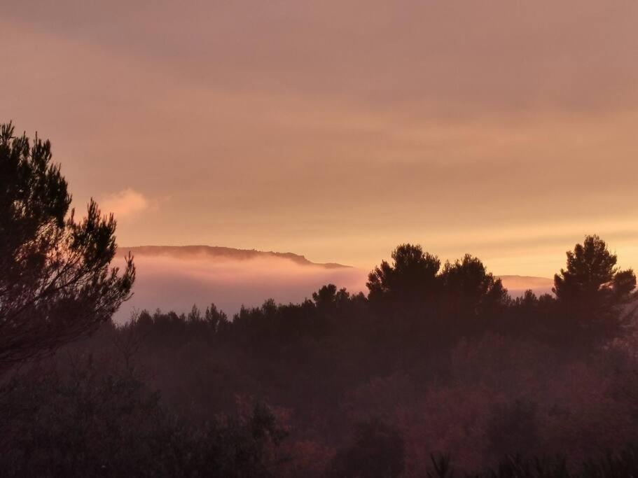 Entre Ventoux Et Luberon, Appartement Dans Maison. Malemort-du-Comtat Buitenkant foto
