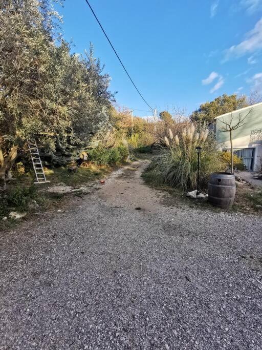 Entre Ventoux Et Luberon, Appartement Dans Maison. Malemort-du-Comtat Buitenkant foto